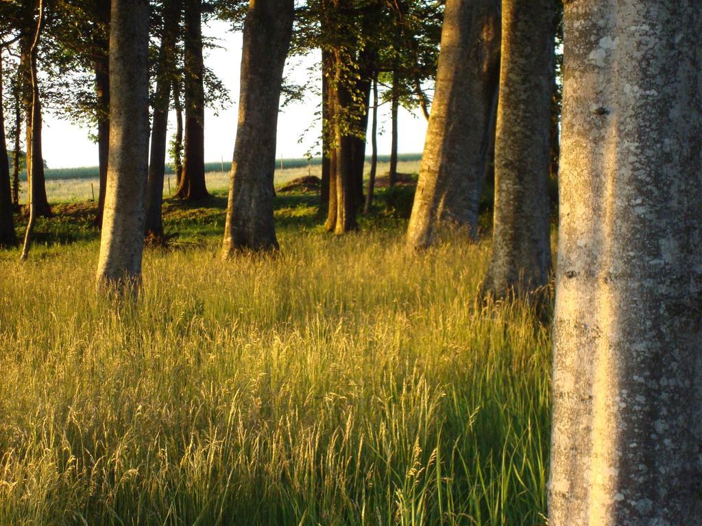 Bed and Breakfast Saebyholms Gard Лахольм Экстерьер фото
